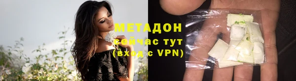 дмт Богданович
