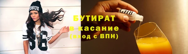 гидра Богородицк