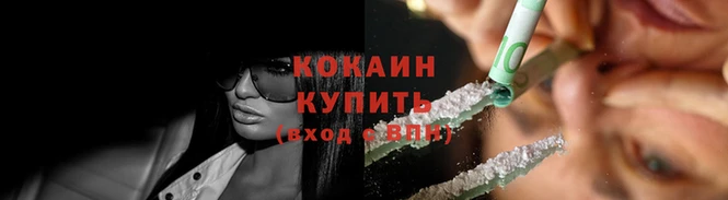 дмт Богданович