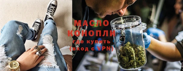 гидра Богородицк