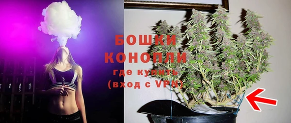 дмт Богданович