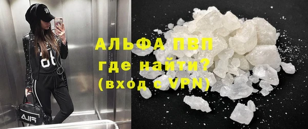 дмт Богданович