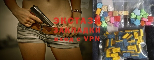 дмт Богданович
