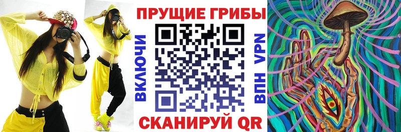 Галлюциногенные грибы мицелий  Городовиковск 