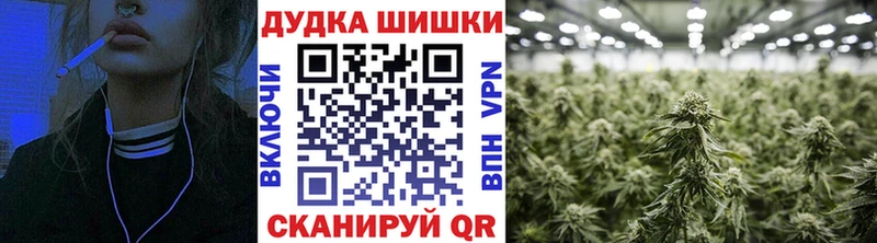 Каннабис THC 21%  закладки  Городовиковск 